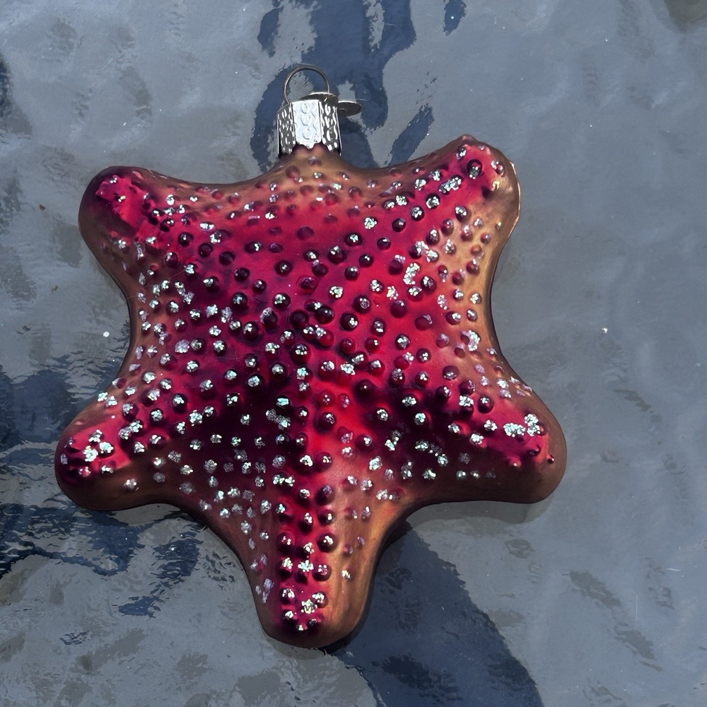 Old World Christmas Starfish Red Front No Box